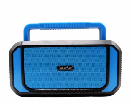 Haut-parleur et Radio FM Sans Fil PETERHOT PTH-X10 Avec Torche - Cyan