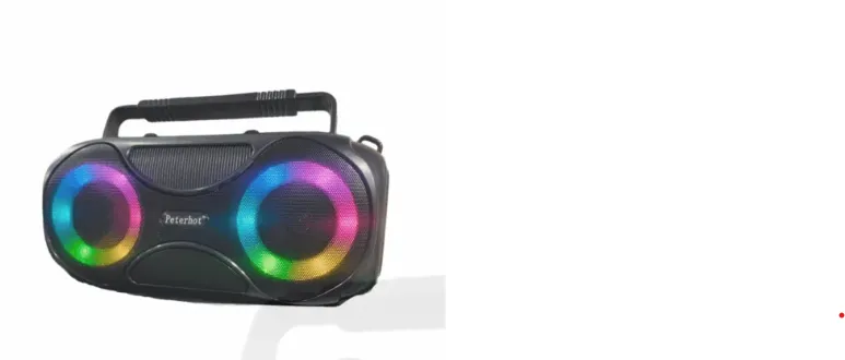 Haut-parleur Bluetooth & Radio FM – PETERHOT PTHX13
